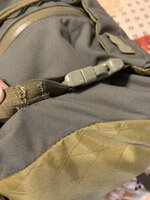 IMG_2399.jpeg