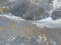 IMG_0180.jpeg