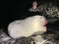 IMG_0250.jpeg