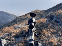 IMG_0152.jpeg