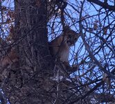 IMG_2881.jpeg