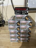 IMG_8180.jpeg