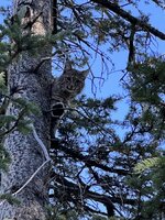 IMG_1913.jpeg