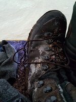 20160924_065026.jpg