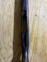 IMG_9928.jpeg