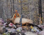 23' Elk.jpg