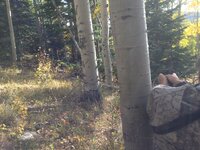 IMG_1838.jpeg