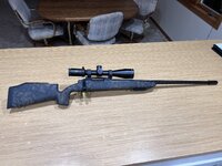 IMG_5229.jpeg