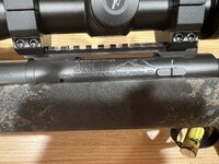 IMG_5232.jpeg