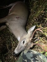 IMG_1108.jpeg