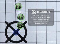 Ballistic-X-Export-2023-10-11 14_49_51.307784.jpg