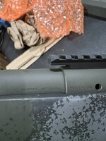 IMG_3109.jpeg