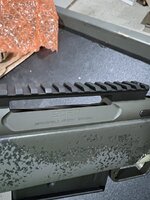IMG_3107.jpeg