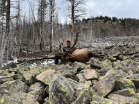 IMG_5388.jpeg