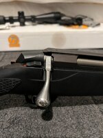 Tikka 1.jpg