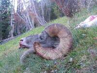 Sheep Hunt 2011 034.JPG
