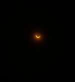 IMG_0099.jpeg