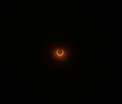 IMG_0108.jpeg
