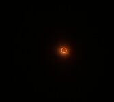 IMG_0115.jpeg