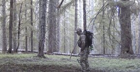 IMG_0016.jpeg
