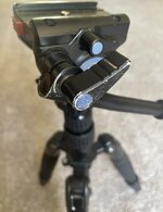 IMG_3274.jpeg
