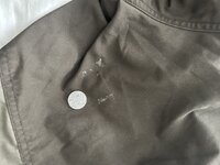 IMG_3549.jpeg