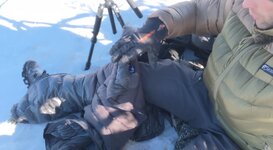 Screenshot 2023-10-19 at 10.18.38 AM 1.jpg