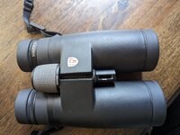 PXL_20230625_232629191.jpg