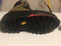 IMG_0267.jpeg