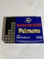 IMG_5284.jpeg