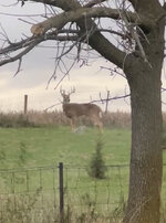 IMG_5286.jpeg