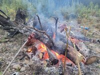 20230819_214048.jpg 20230819_214048.jpg