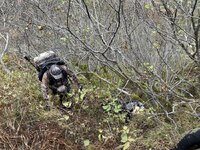 signal-2023-10-14-20-50-35-415-12.jpg signal-2023-10-14-20-50-35-415-12.jpg