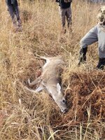 20231012_140300.jpg 20231012_140300.jpg