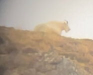 signal-2023-10-12-18-06-34-026.jpg signal-2023-10-12-18-06-34-026.jpg