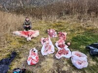 20231013_173532.jpg 20231013_173532.jpg