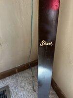 IMG_8326.jpeg