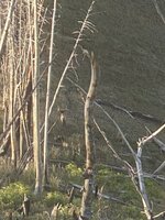 IMG_5891[1].JPG