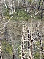 IMG_5895[1].JPG