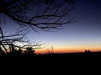 IMG_5918[1].JPG