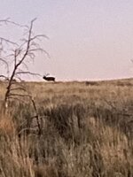 IMG_5944.jpeg