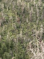 IMG_5783.jpeg