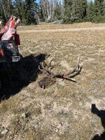 IMG_5942.jpeg