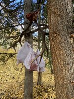 IMG_6008.jpeg