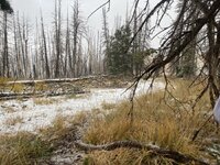 71795817625__31FD1629-D433-46E8-AA0D-B9066A6E25EC.jpeg