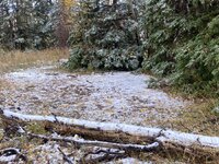 IMG_6006.jpeg