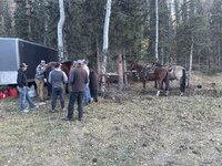 IMG_5062.jpeg