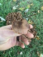 IMG_2285.jpeg