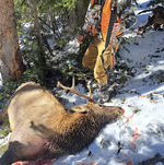 elk-down.png