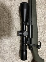 IMG_3931.jpeg